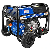Сварочный генератор TSS PROF GGW 2.0/250E